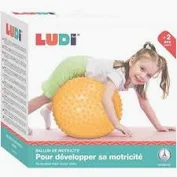 PILOTA DE MOTRICITAT LUDI
